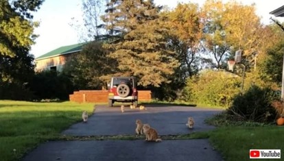 20220328_190721 (4)_batch