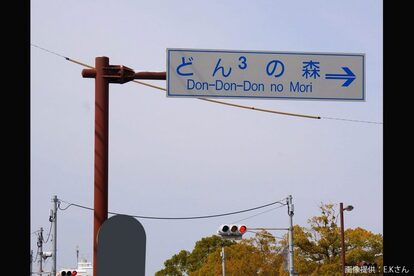 どんどんどんの森