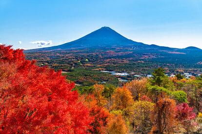 鳴沢村 紅葉台から見る富士山(山梨県)