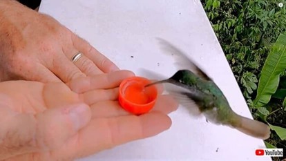 20221014_112343_batch