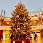 イクスピアリ「クリスマスツリー 2022」