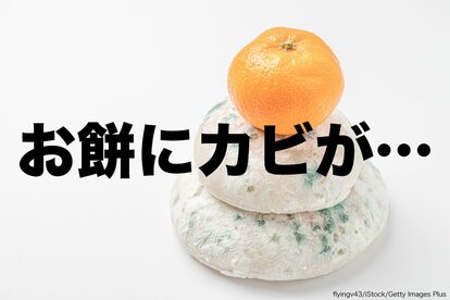 鏡餅・カビ