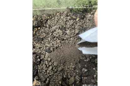 使い捨てカイロ