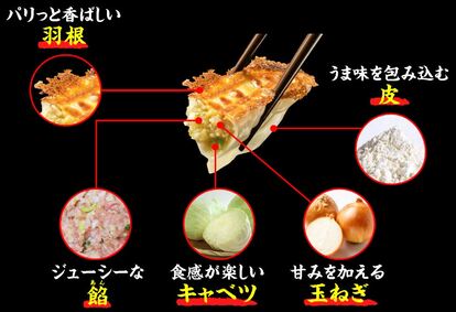 天下一品「羽根つき餃子」素材のこだわり