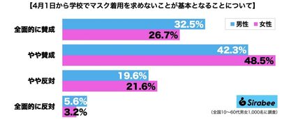 学校マスク