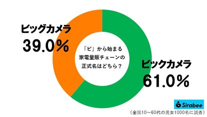 ビックカメラグラフ
