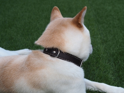 画像はイメージ