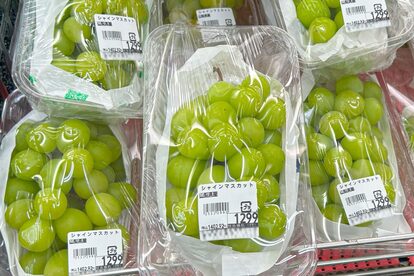 シャインマスカット