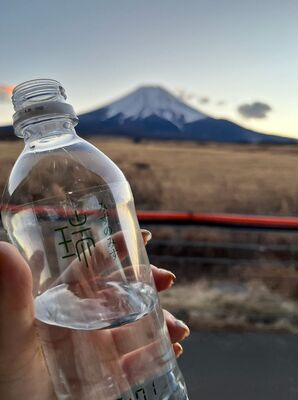 【地域共創と活性化】静岡県富士宮市のふるさと納税に”みずのみず”がラインナップ
