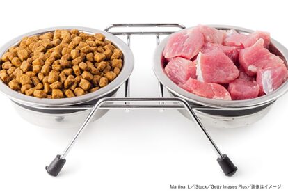 ドッグフード・ドライフード・生肉