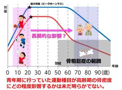 青年期にやっていた種目の違いが高齢期の骨密度に影響するのか?