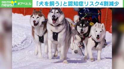 【写真・画像】 1枚目