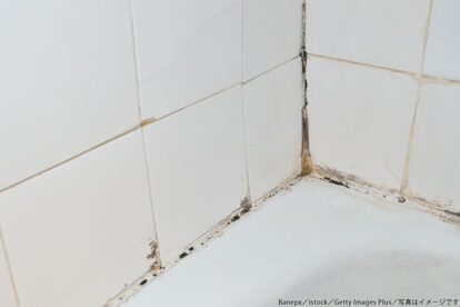 浴室・風呂場・カビ・黒カビ
