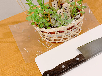 春の七草の写真