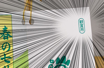 春の七草の写真