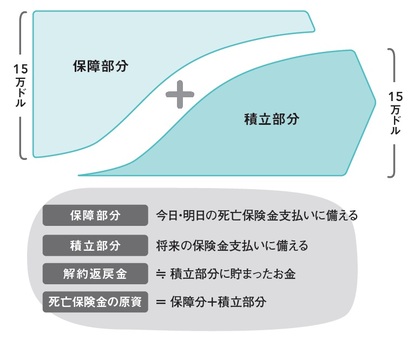 終身保険「死亡保険金で元が取れる」？…〈掛け捨てではありません〉の裏に隠された驚愕の真実【保険のプロが警告】