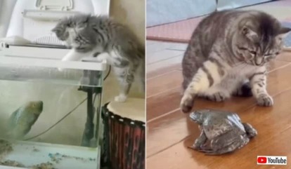 20240114_055342_batch