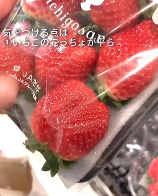 農家の孫が教える『甘いイチゴ』の見分け方　着眼点に「そこを見るのか」と驚き！