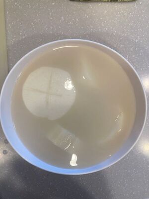 汁に浸されたおでんの大根