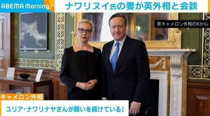 ナワリナヤ氏とキャメロン外相
