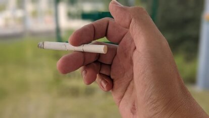 画像はイメージ