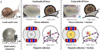 吸盤を作動させて、他のロボットの上に固定できる