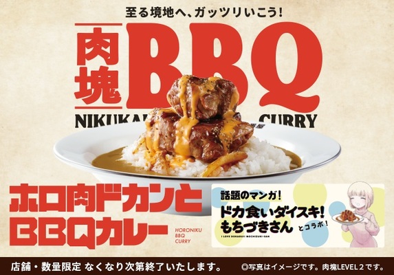 カレーハウスCoCo壱番屋「ホロ肉ドカンとBBQカレー」(写真は「肉塊LEVEL2」)