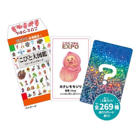 こびとづかん　チェンジングカード　３Ｄカード こびとづかんカード（第3弾） BOX（食玩）[カバヤ食品]《在庫切れ》