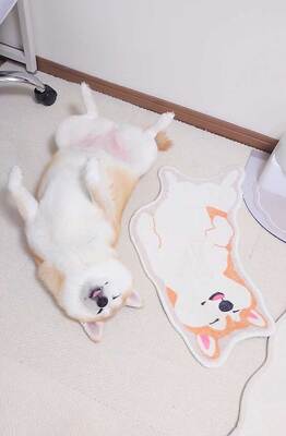 眠る柴犬とラグ