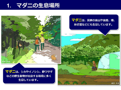 マダニ対策資料