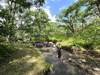 雨飾高原キャンプ場近くの大海川で川遊び