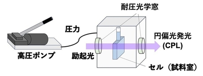 静水圧による高圧円偏光発光(CPL)計測系(概念図)