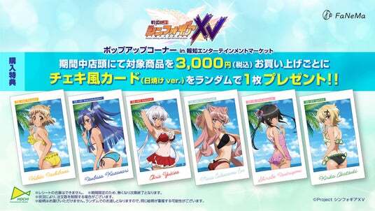 FaNeMa限定 シンフォギア 日焼け水着 アクリルスタンド C106 戦姫絶唱