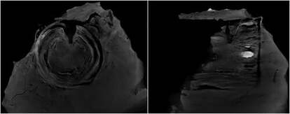 なぜ北欧は“世界”へ出なかったのか?