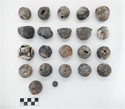 発見された砲弾