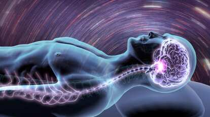 あなたの睡眠はどのタイプ? 脳に刻まれた眠り方のクセ