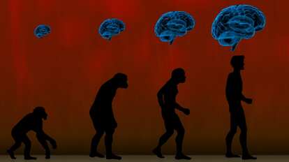 なぜ大きな脳の心は弱いのか?