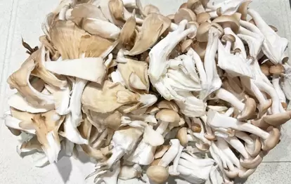 『炒めきのこの炊き込みご飯』を作る写真(撮影:エニママ)