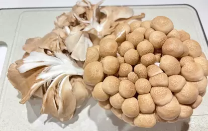 『炒めきのこの炊き込みご飯』の材料写真(撮影:エニママ)