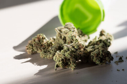 外国人スノーボーダーにも人気だという大麻