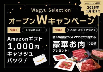 (4)キャンペーン