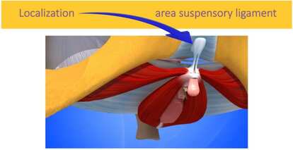 昔からあった「鎮痛の手がかり」を拾い直す