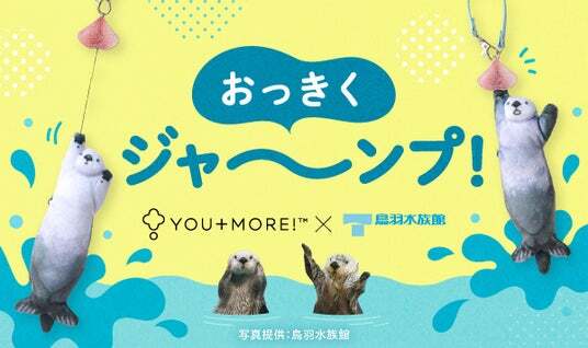 鳥羽水族館コラボ第3弾】ラッコのメイちゃん＆キラちゃんの「イカ耳