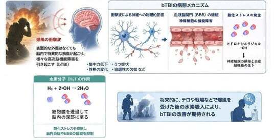 低濃度水素吸入が爆風由来TBIのうつ・社会性障害を抑制｜MiZ・防衛医科