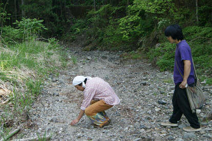 山梨県のリニア実験線の周辺で多くの沢や川が枯れた。写真は上野原市の棚の入沢の様子。かつて釣りの人気スポットだった