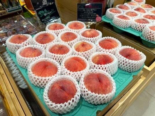 長野県須坂市生まれの希少フルーツ、その名は「ワッサー」 | ニコニコ