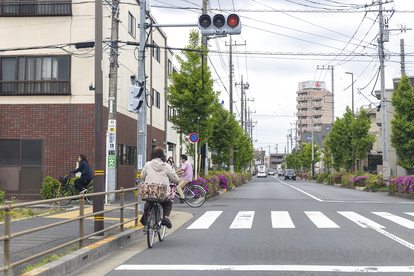 車道を走る自転車が増えたいまこそドライバーが知るべきこととは