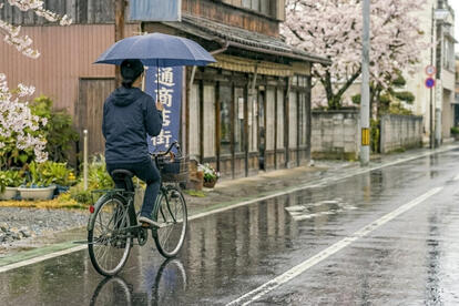 車道を走る自転車が増えたいまこそドライバーが知るべきこととは