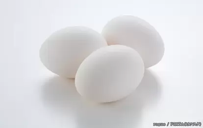 卵の写真