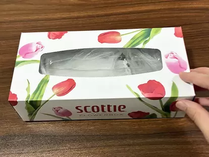 水切りネットを入れたティッシュの空き箱(撮影:grapeライフハック編集部)